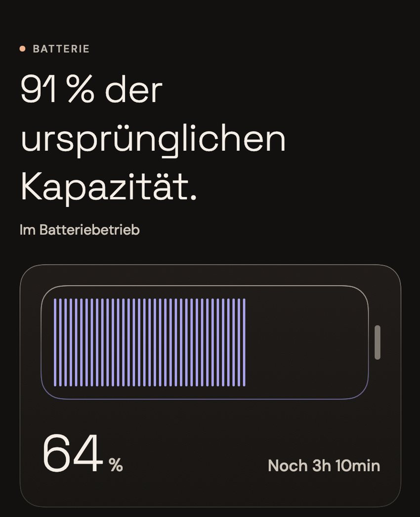 Die Seite „Batterie“ von Tend: 91 % der ursprünglichen Kapazität, im Batteriebetrieb bei 64 %, noch 3 Std. 10 Min.